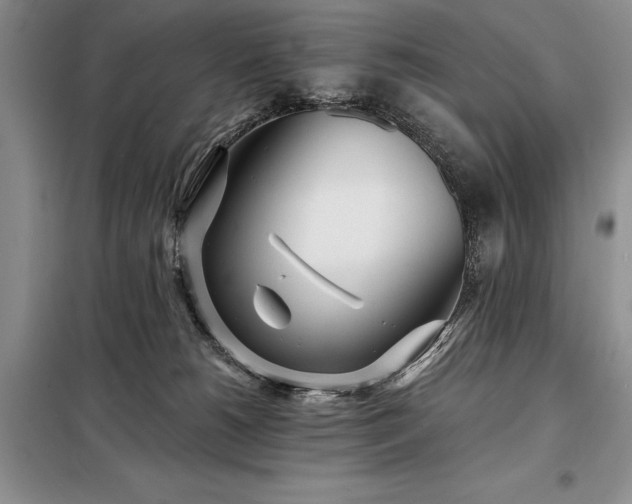 X0000098200180200805011156