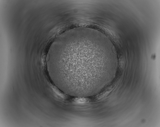 X0000098200181200805011156