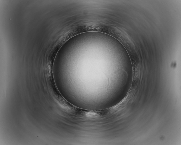 X0000098200183200805011156