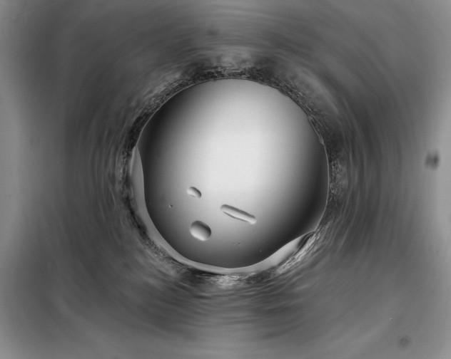 X0000098200184200805011156