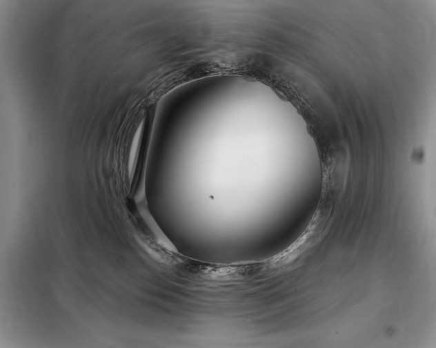 X0000098200186200805011156