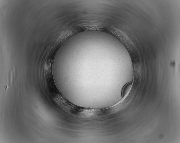 X0000098200190200805011156