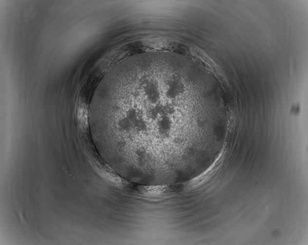 X0000098200191200805011156