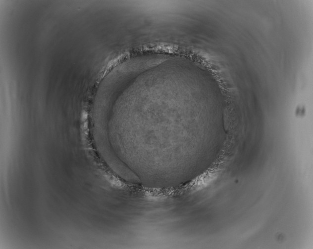 X0000098200192200805011156