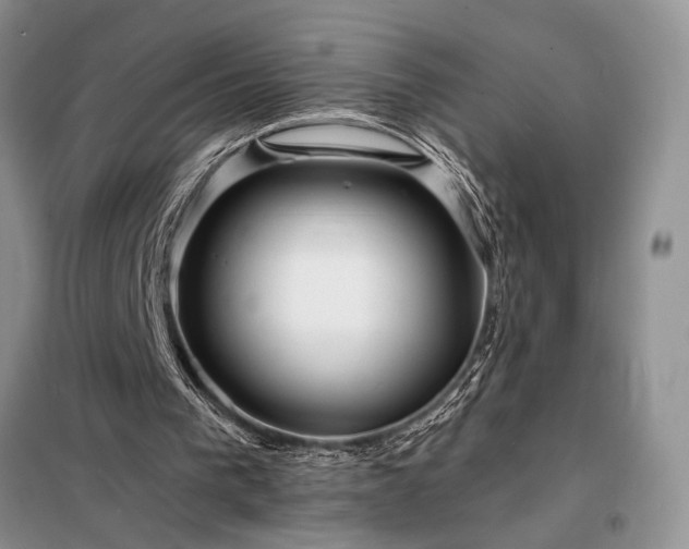 X0000098200193200805011155