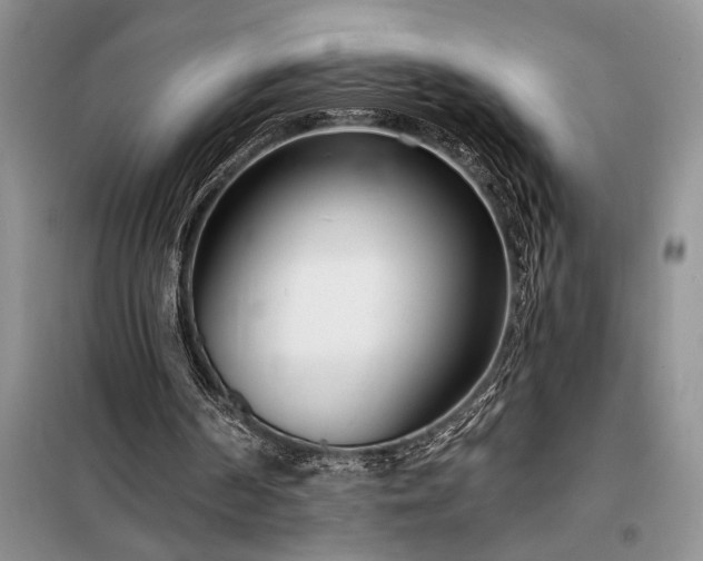 X0000098200194200805011155