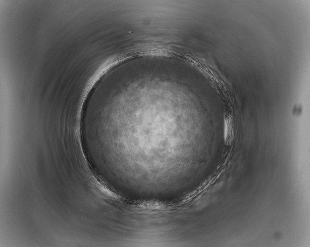 X0000098200195200805011155