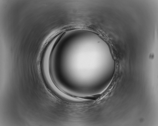 X0000098200197200805011155