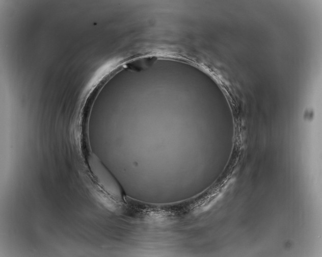 X0000098200199200805011155