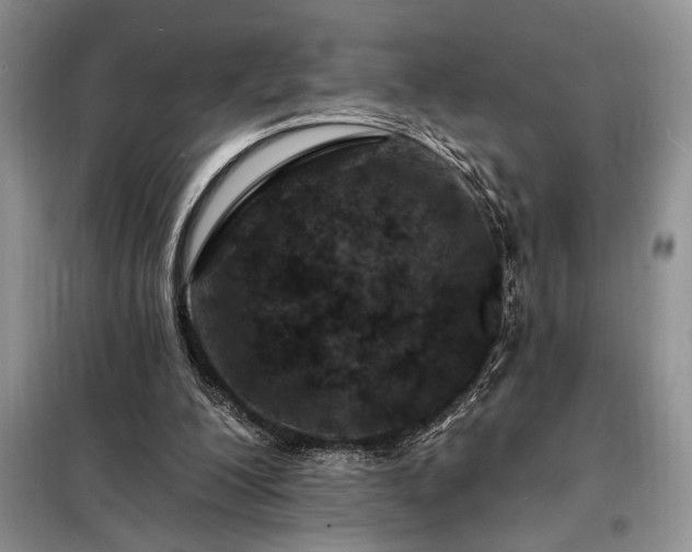 X0000098200200200805011155