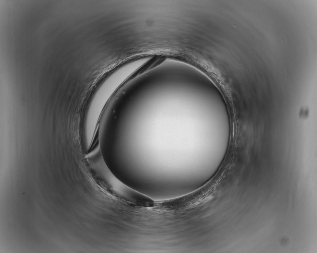 X0000098200201200805011155