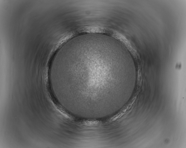 X0000098200202200805011155