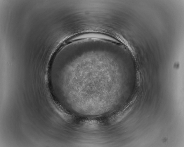 X0000098200203200805011155