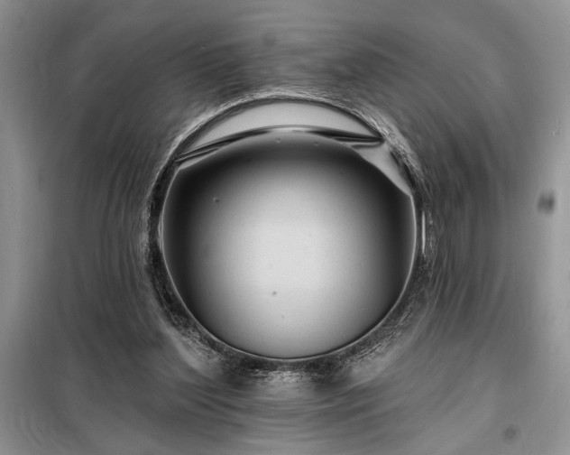 X0000098200204200805011155
