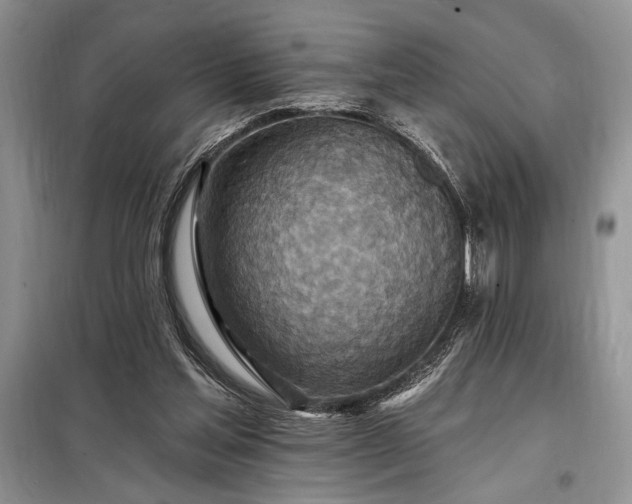 X0000098200205200805011155