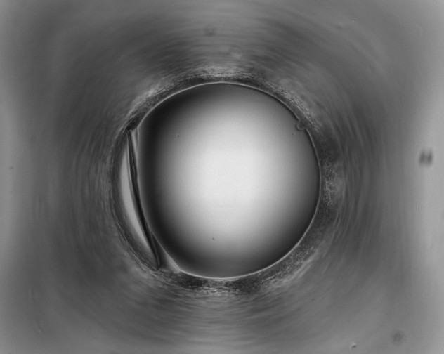 X0000098200207200805011155