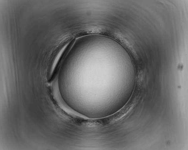 X0000098200209200805011155