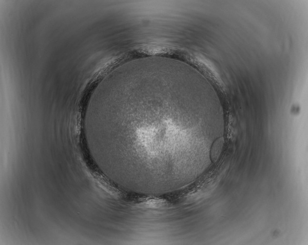 X0000098200210200805011154