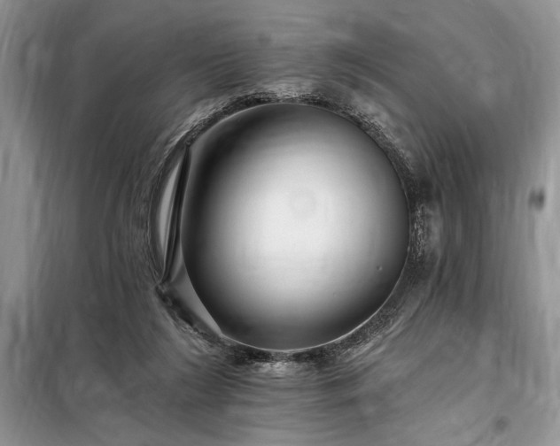 X0000098200212200805011154