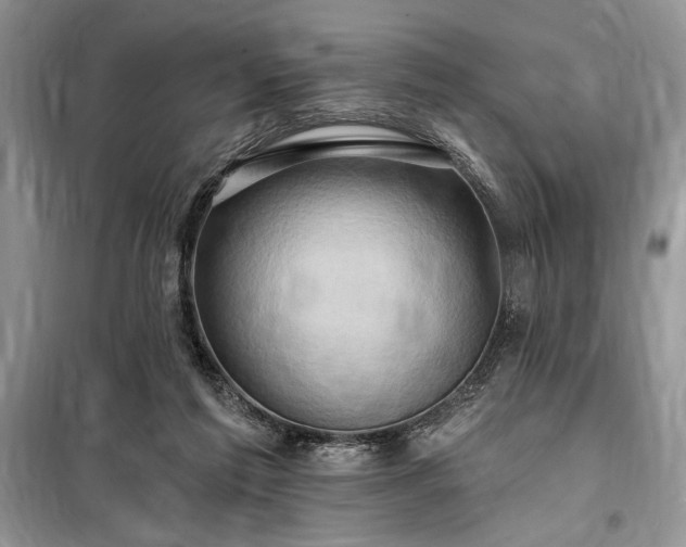 X0000098200213200805011154