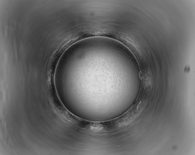 X0000098200214200805011154