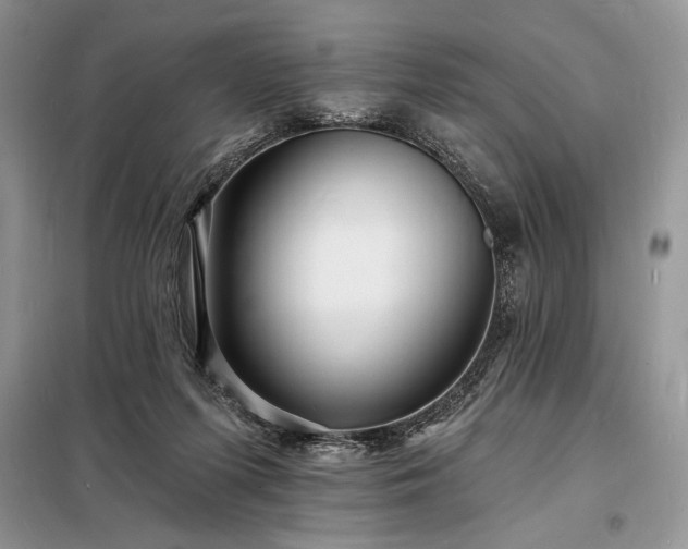 X0000098200215200805011154