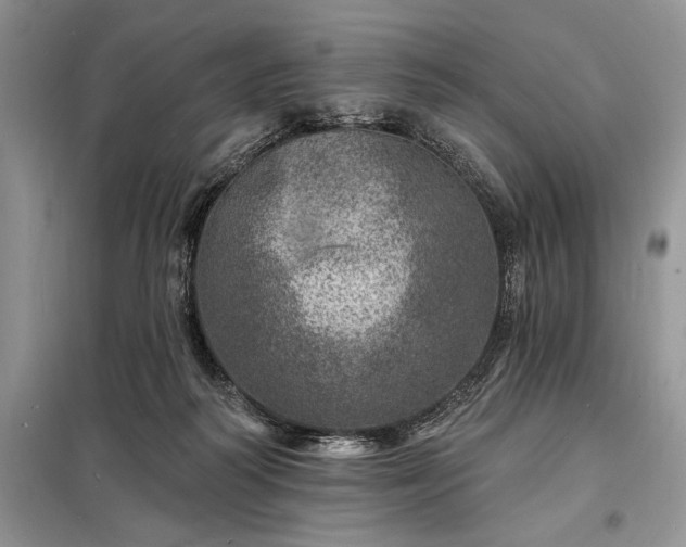 X0000098200218200805011154