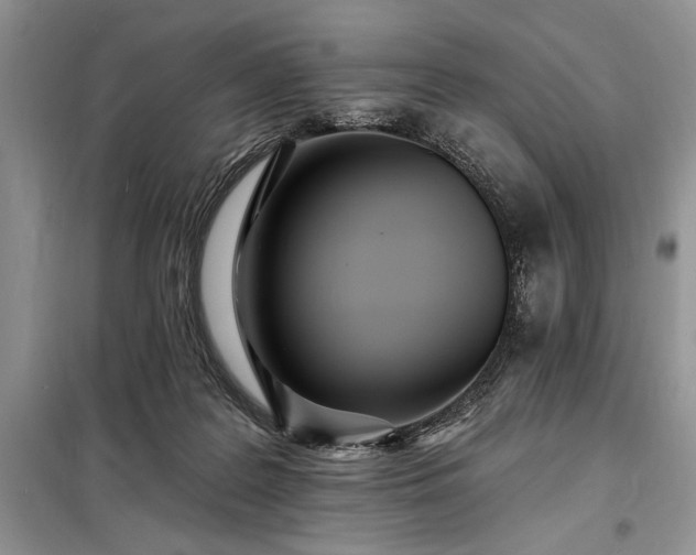 X0000098200219200805011154