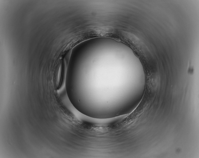 X0000098200221200805011154