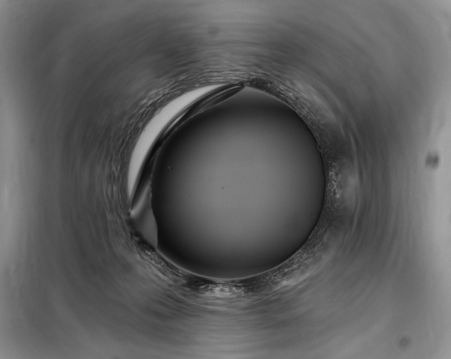X0000098200223200805011154