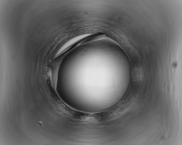 X0000098200224200805011154