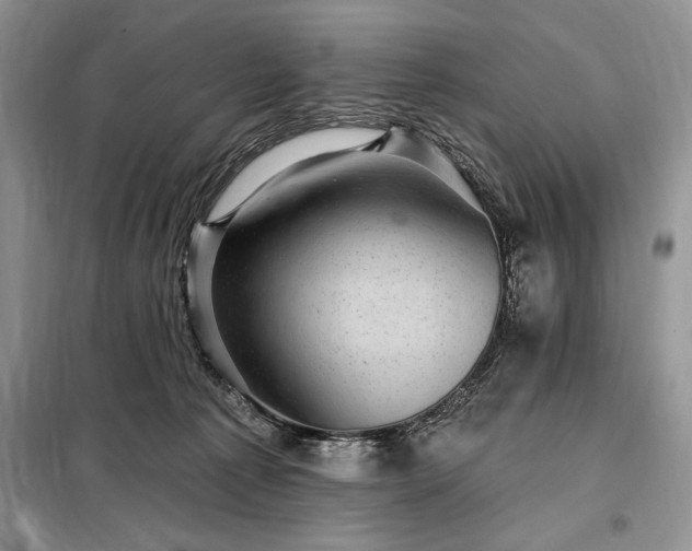 X0000098200225200805011154