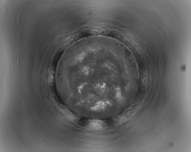 X0000098200226200805011154
