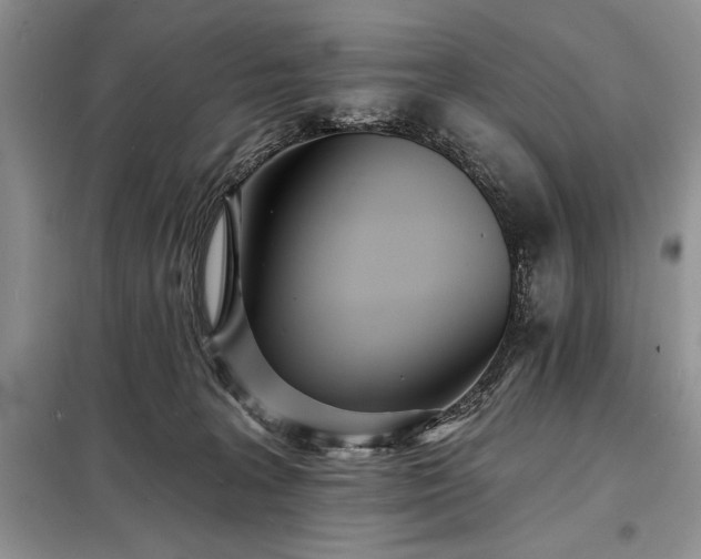 X0000098200227200805011154
