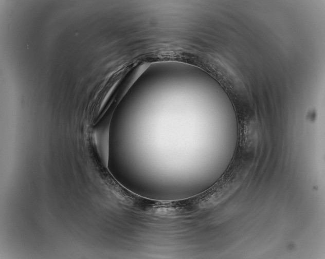 X0000098200228200805011154
