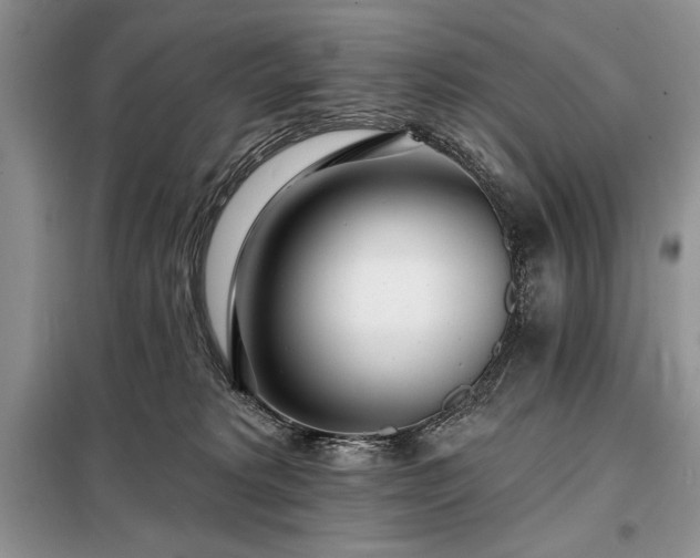 X0000098200229200805011154