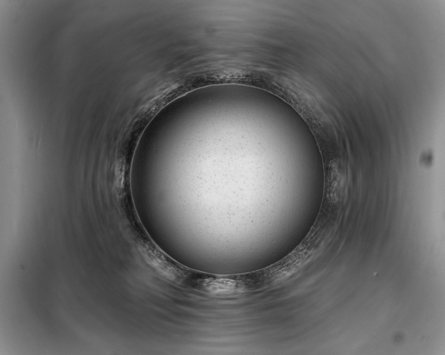X0000098200230200805011154