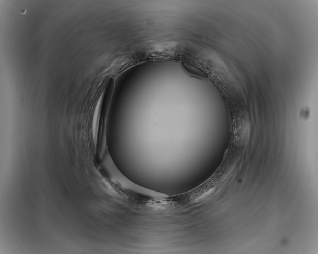X0000098200231200805011154