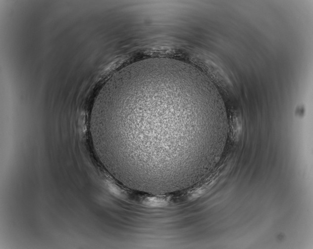 X0000098200232200805011154