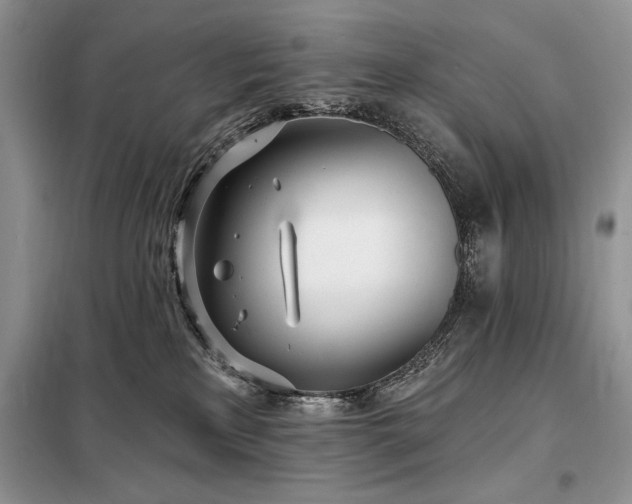 X0000098200233200805011154