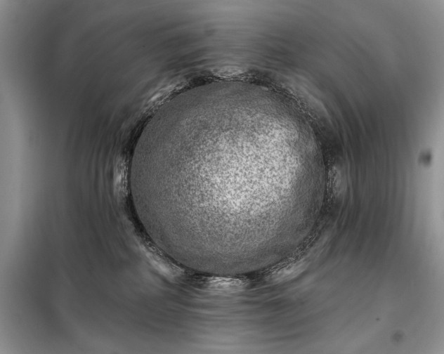 X0000098200234200805011154