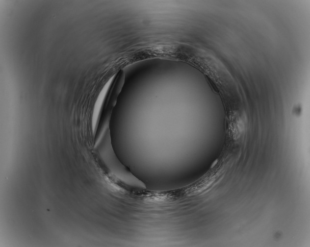 X0000098200235200805011154