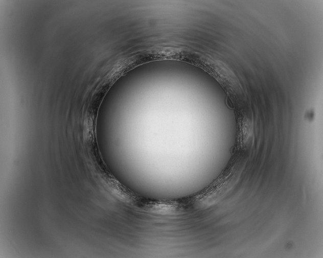 X0000098200236200805011154