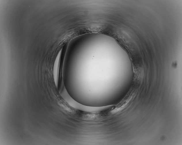 X0000098200237200805011154