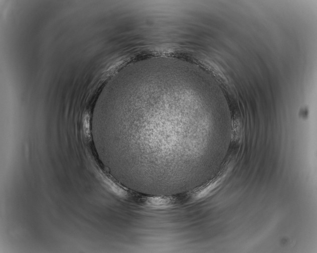 X0000098200238200805011154