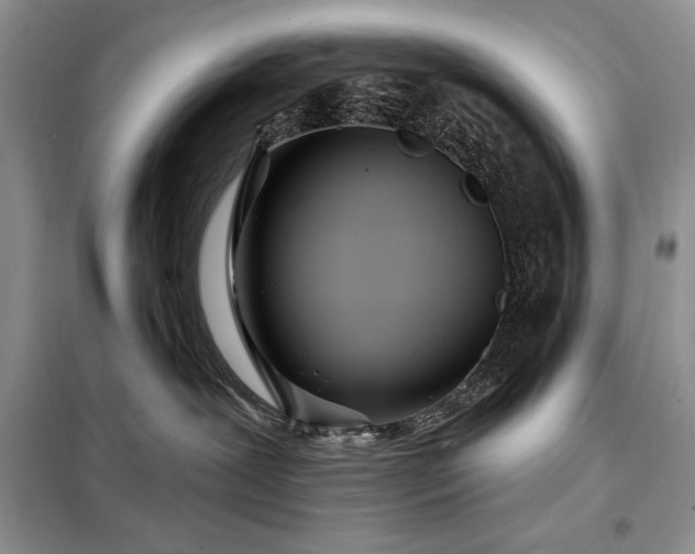 X0000098200239200805011154