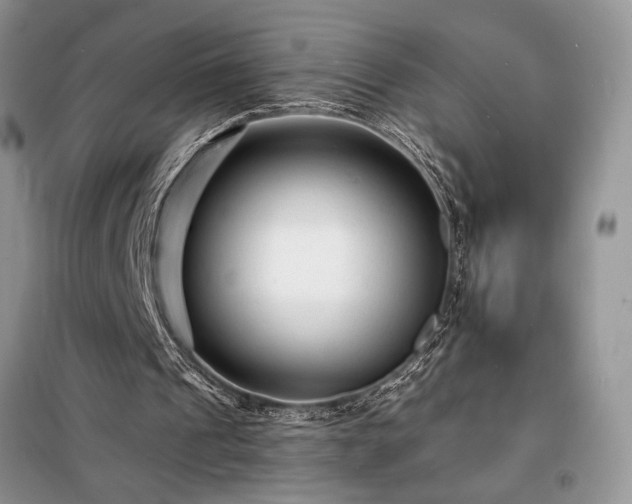 X0000098200241200805011153
