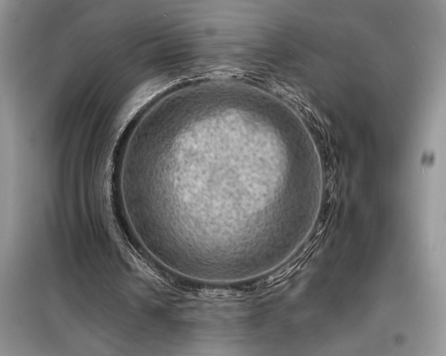 X0000098200242200805011153