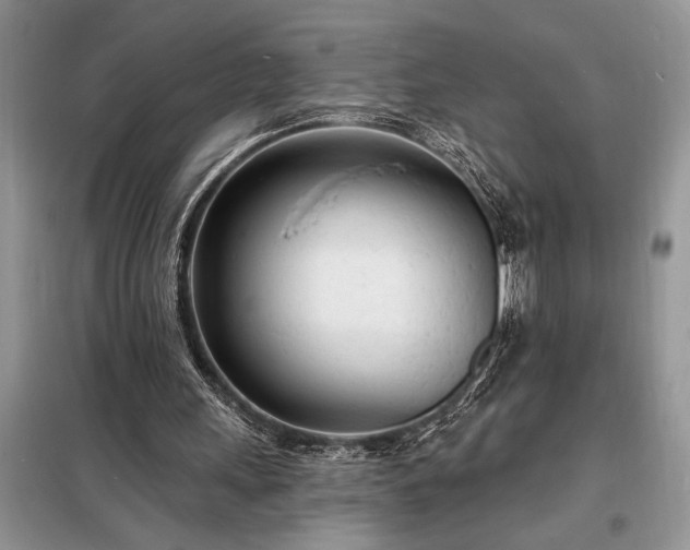 X0000098200243200805011153