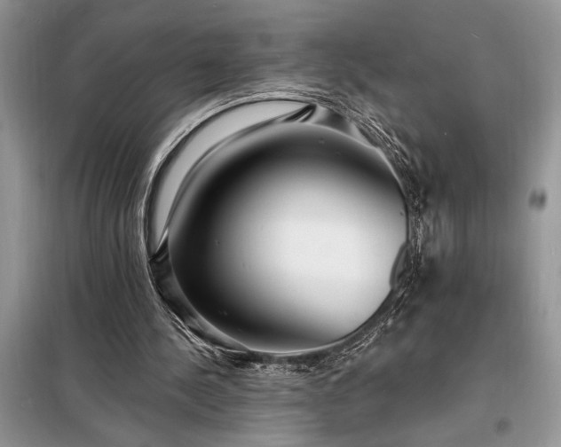 X0000098200244200805011153